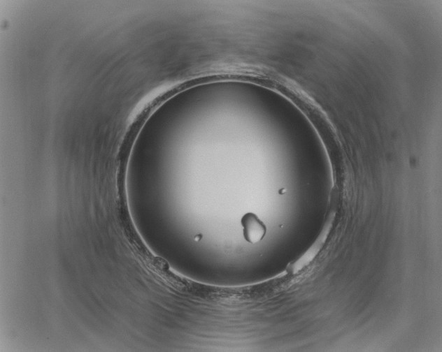 X0000064731222200602171633