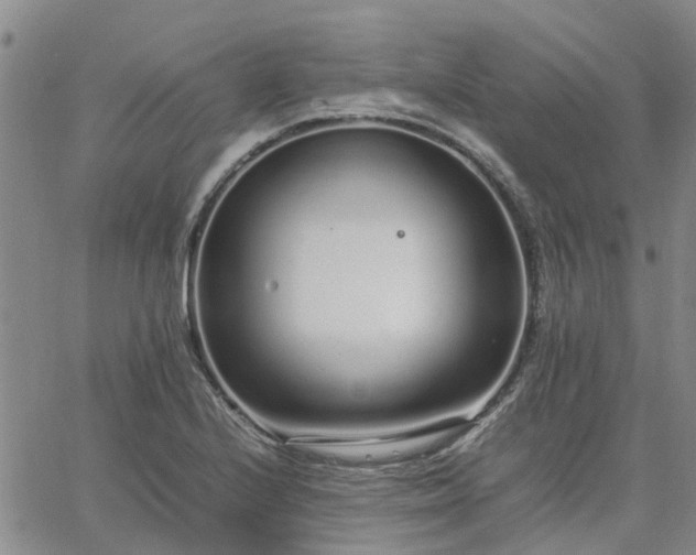 X0000064731224200602171633