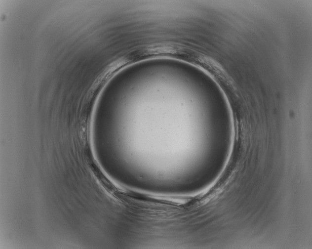 X0000064731225200602171633