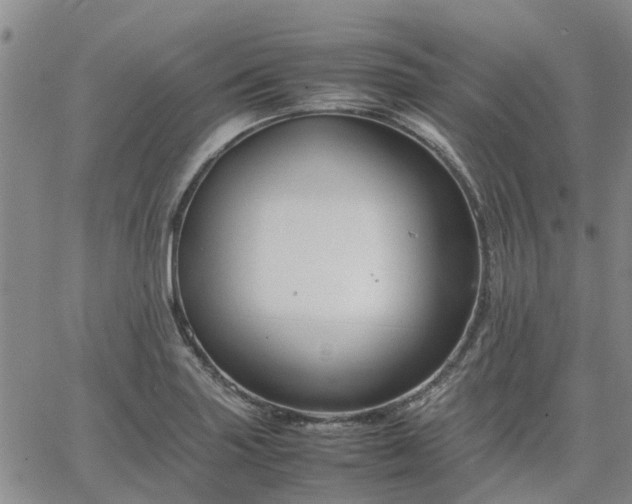 X0000064731227200602171633