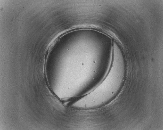 X0000064731228200602171633