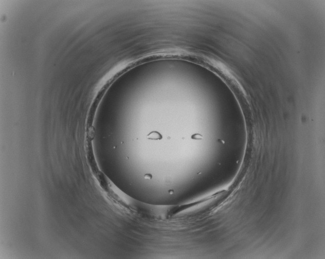 X0000064731229200602171633