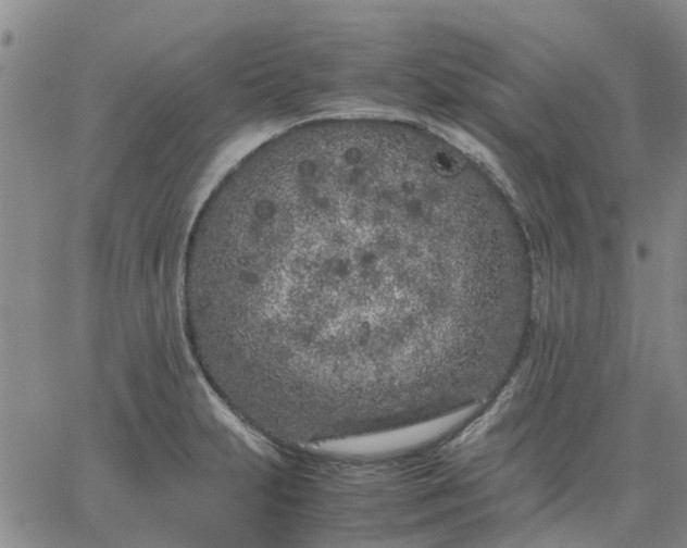 X0000064731231200602171633