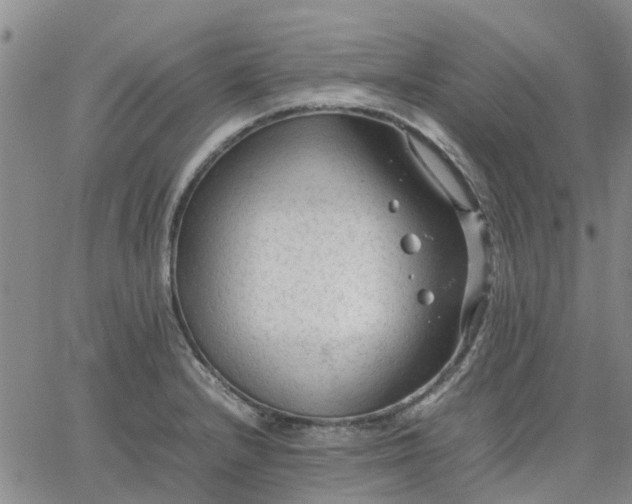 X0000064731232200602171633