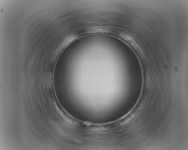 X0000064731233200602171633