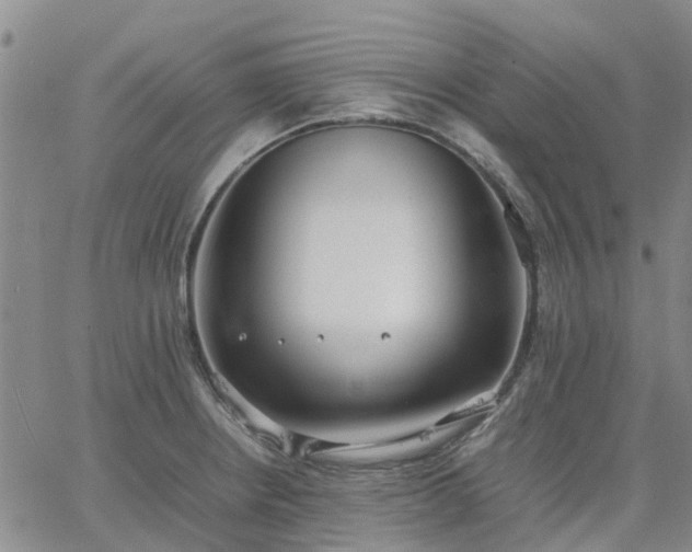 X0000064731234200602171633