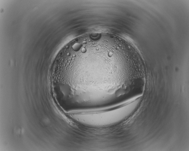 X0000064731235200602171633