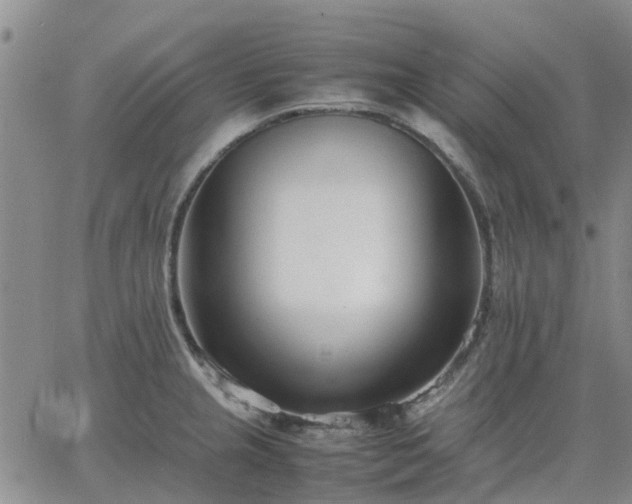 X0000064731237200602171633