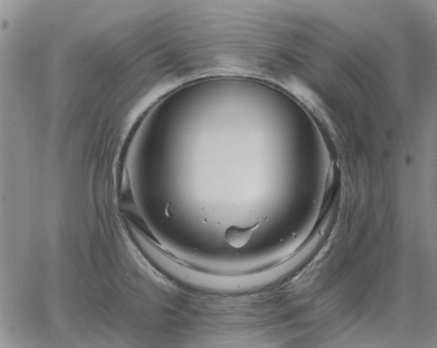 X0000064731238200602171633