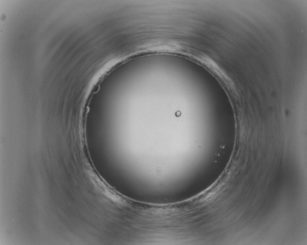 X0000064731240200602171633