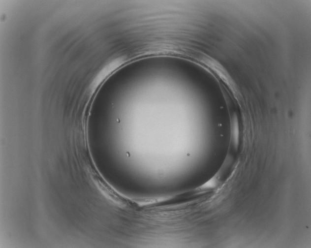 X0000064731242200602171633