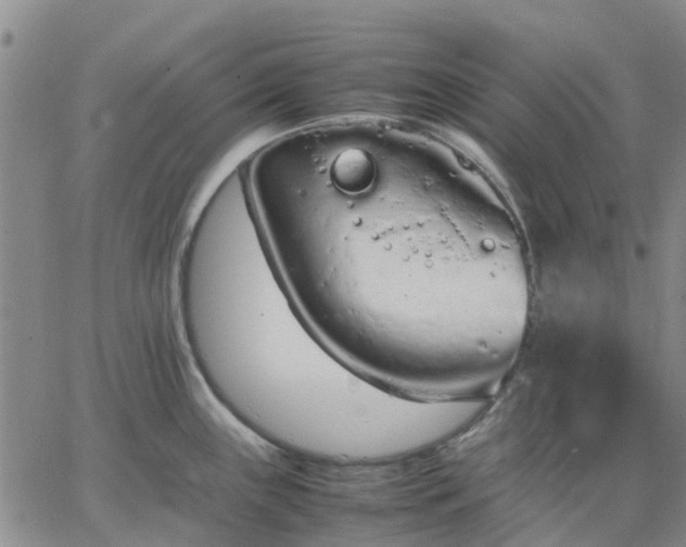 X0000064731243200602171633