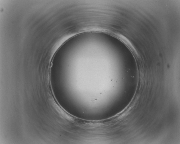 X0000064731244200602171633