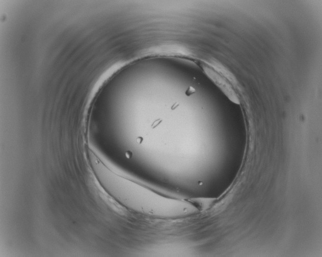 X0000064731248200602171633