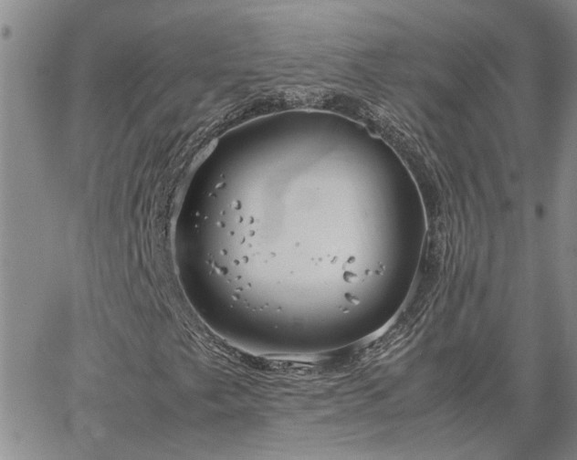 X0000064731249200602171633