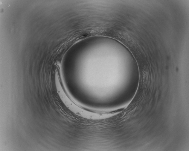 X0000064731250200602171633