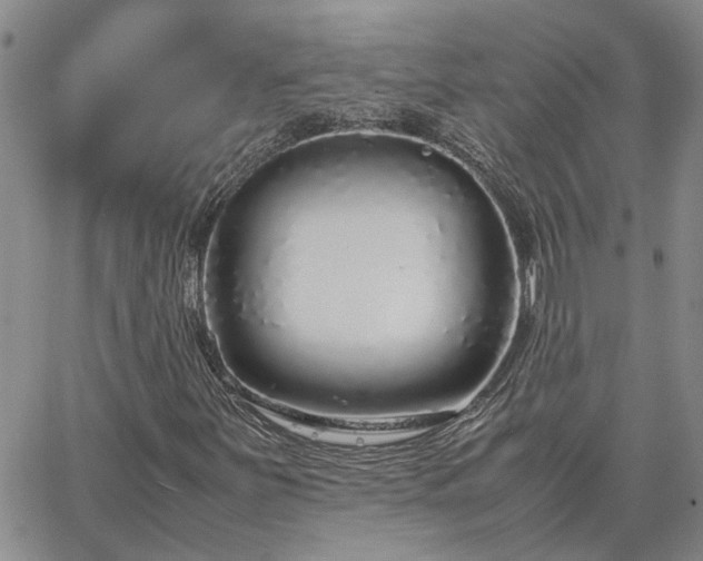 X0000064731251200602171633