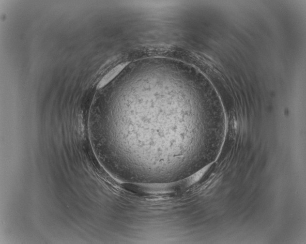 X0000064731252200602171633