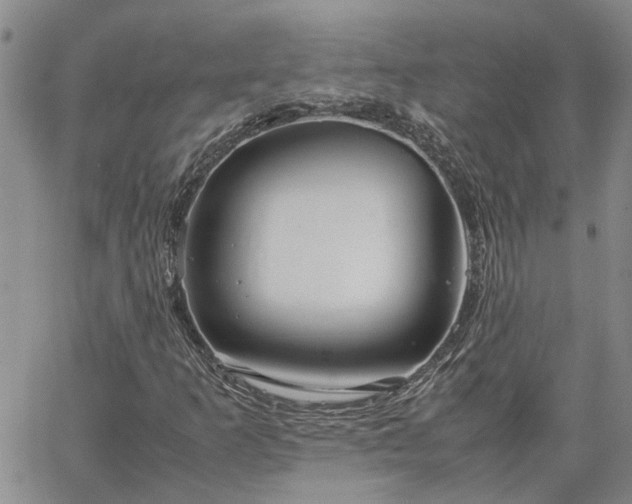 X0000064731253200602171633