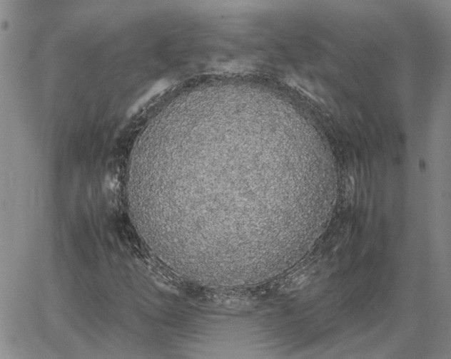 X0000064731254200602171633