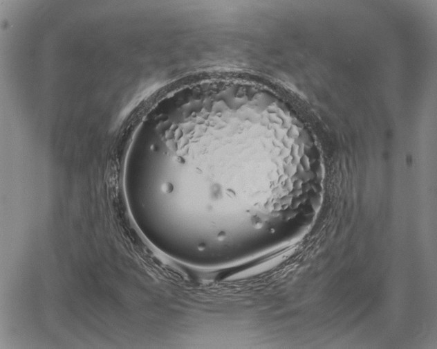 X0000064731255200602171633