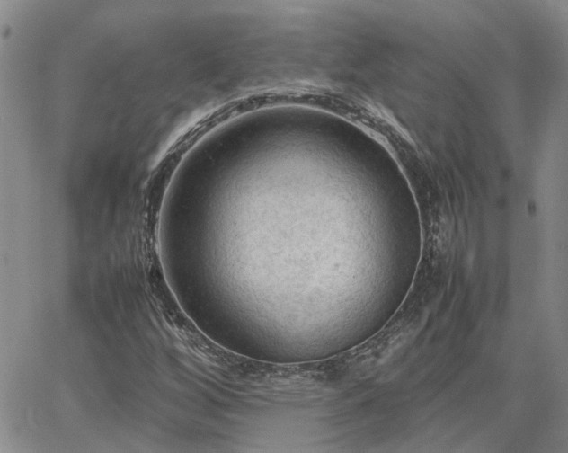 X0000064731256200602171633