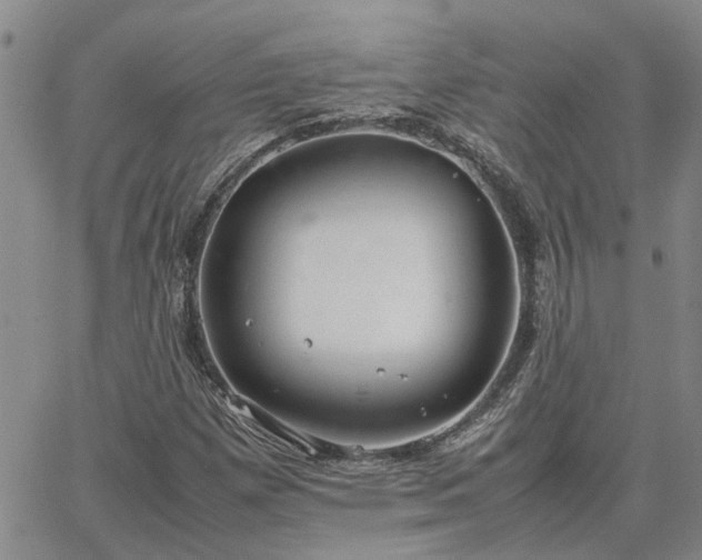 X0000064731257200602171633