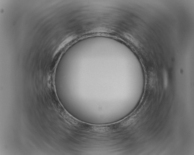 X0000064731258200602171633