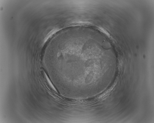 X0000064731259200602171633