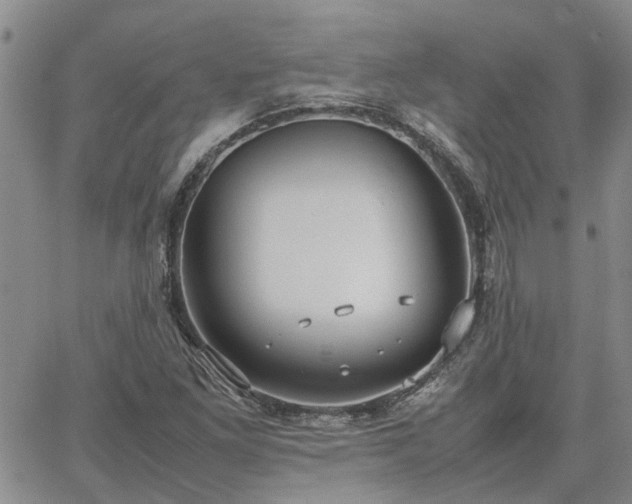 X0000064731261200602171633