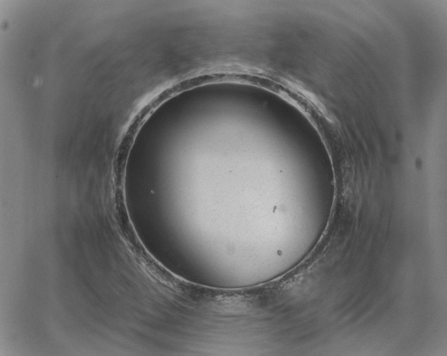 X0000064731264200602171632