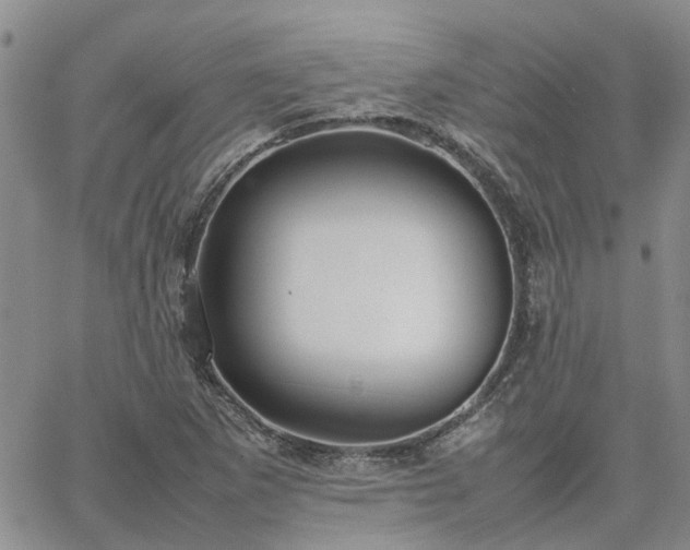 X0000064731265200602171632