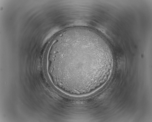 X0000064731266200602171632