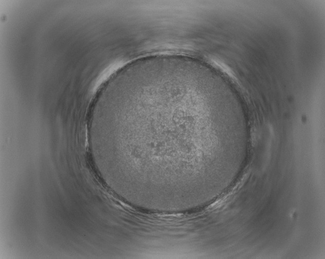 X0000064731267200602171632