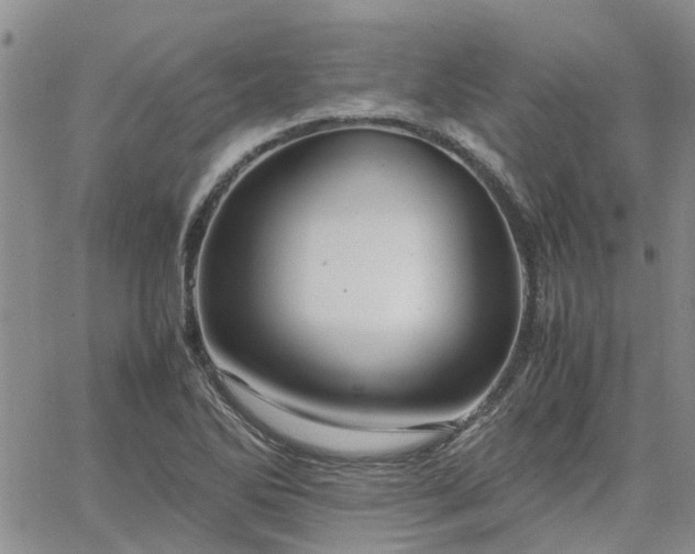 X0000064731270200602171632