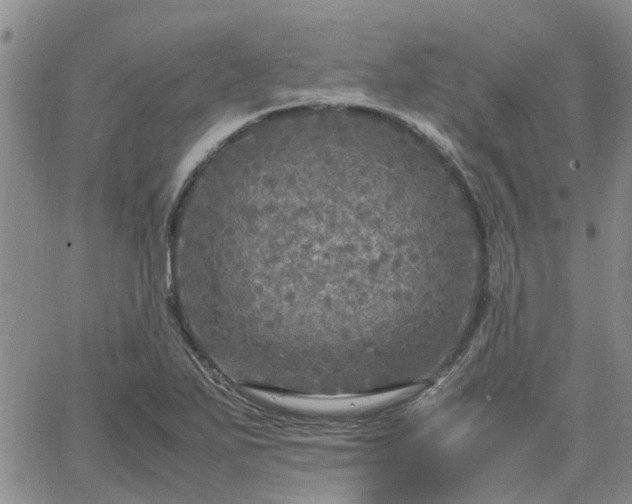 X0000064731271200602171632