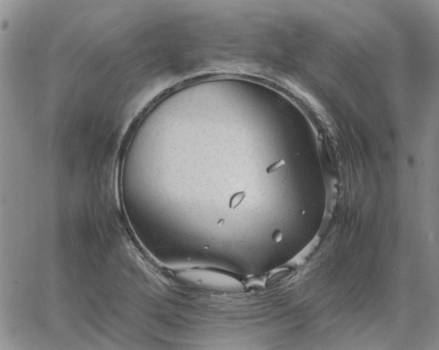 X0000064731272200602171632