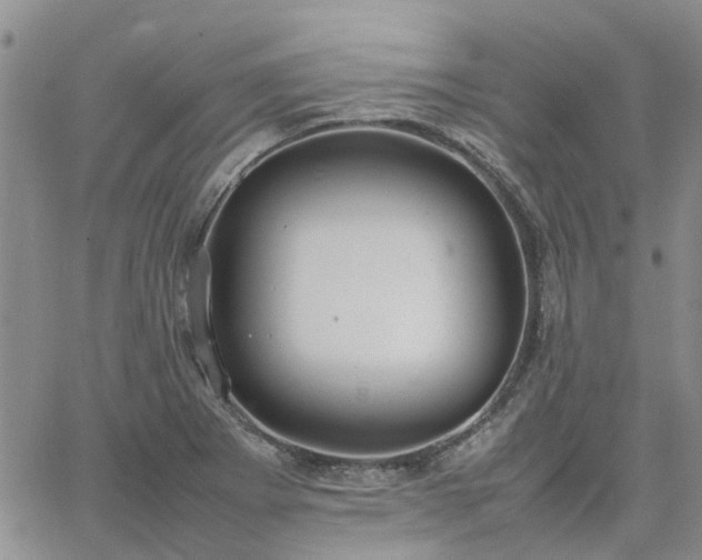 X0000064731273200602171632