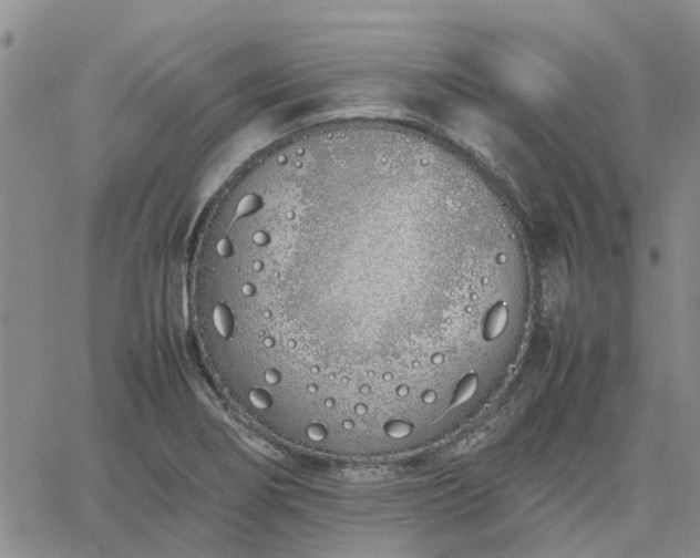 X0000064731274200602171632