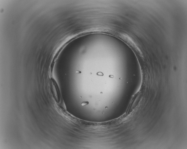 X0000064731276200602171632