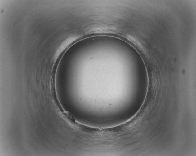 X0000064731277200602171632