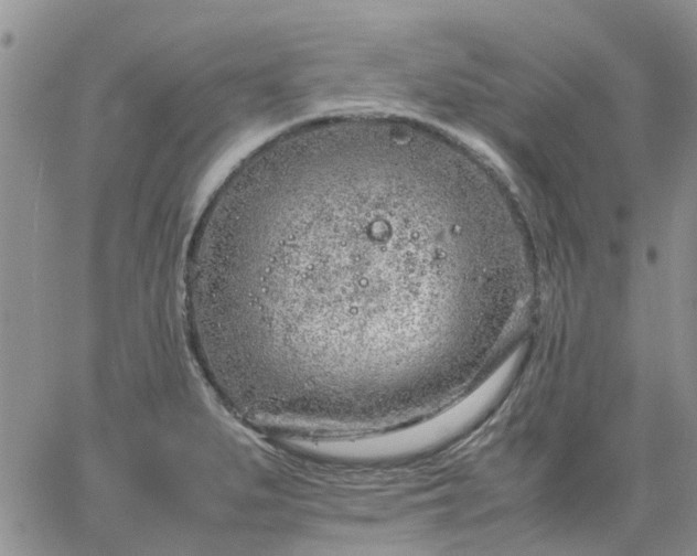 X0000064731279200602171632