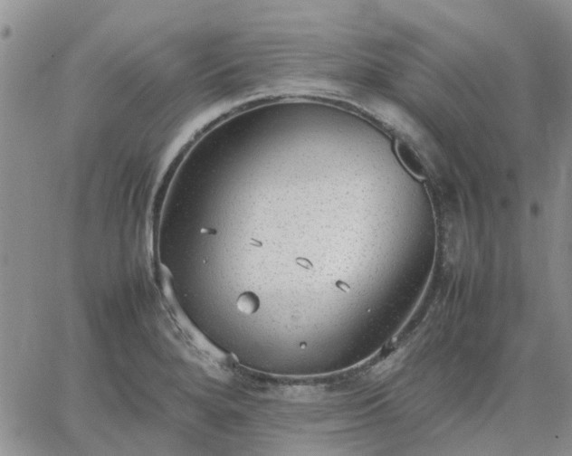 X0000064731280200602171632