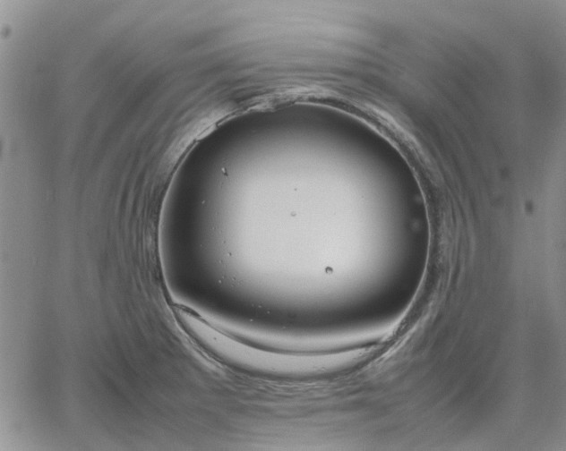 X0000064731281200602171632