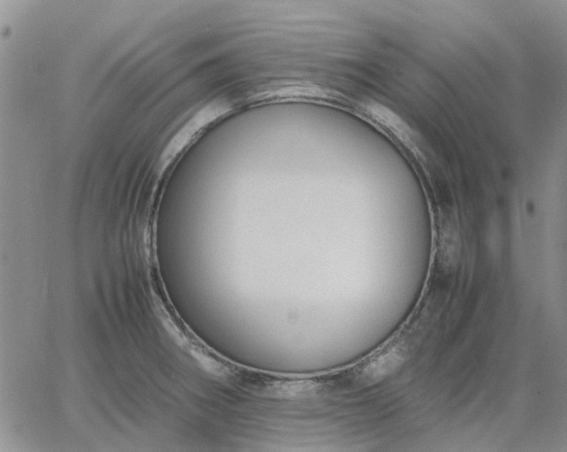 X0000064731282200602171632