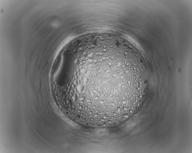 X0000064731283200602171632