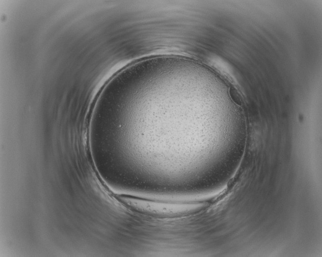 X0000064731284200602171632