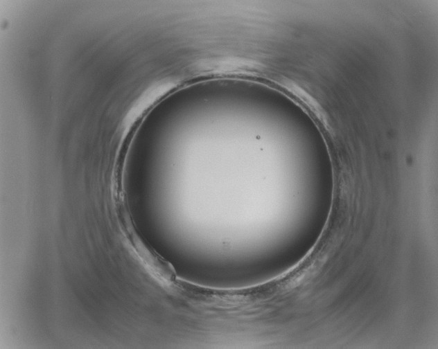 X0000064731285200602171632