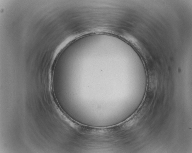 X0000064731286200602171632