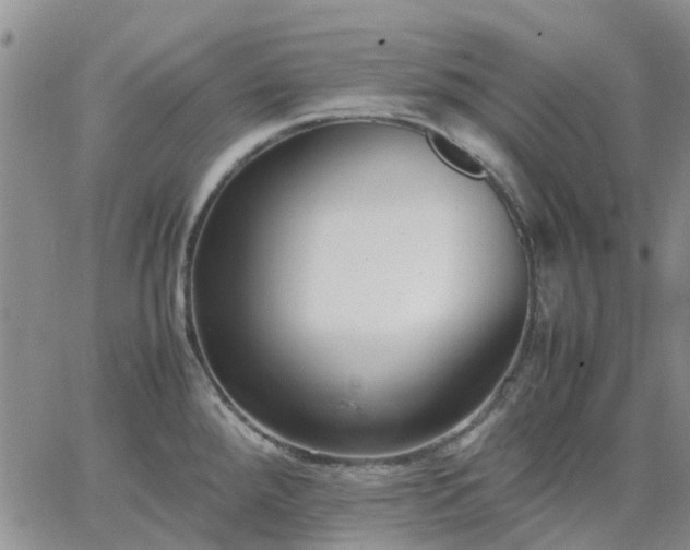 X0000064731288200602171632